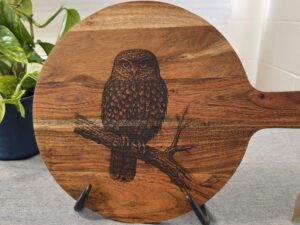 Acacia Morepork